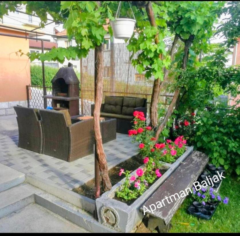 ליבנו Apartman Baljak מראה חיצוני תמונה